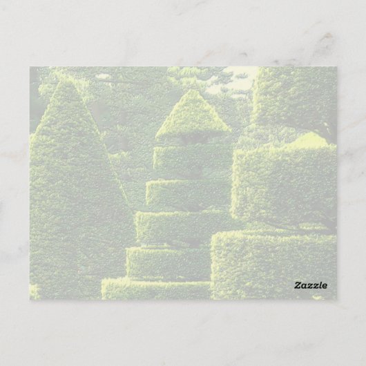 Groene Topiary - Briefkaart (Achterkant)