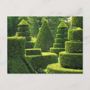 Groene Topiary - Briefkaart