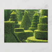 Groene Topiary - Briefkaart (Voorkant)
