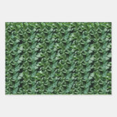 Groene Tora verlaat Botanical Inpakpapier Vel (Voorkant 3)