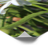 Groene tractor en bloemen Poster (Hoek)