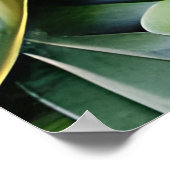 Groene Tropische Bladeren Poster (Hoek)