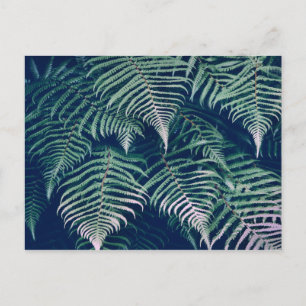 Groene Tropische Fern laat natuurlijk patroon acht Briefkaart