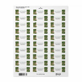 Groene tropische monstera palm verlaat rustige bru etiket (Full Sheet)