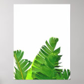 Groene tropische palmbananenbladeren poster (Voorkant)