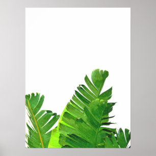 Groene tropische palmbananenbladeren poster