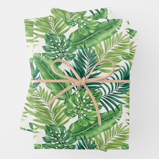 Groene tropische palmbananenmonstera lekt inpakpapier vel (In situ)