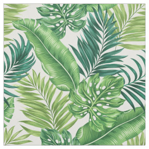 Groene tropische palmbananenmonstera lekt stof