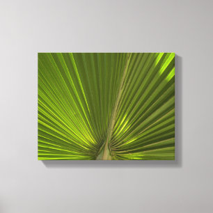 Groene Tropische Palmblad Canvas Afdruk