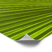 Groene Tropische Palmboom Blad Poster (Hoek)