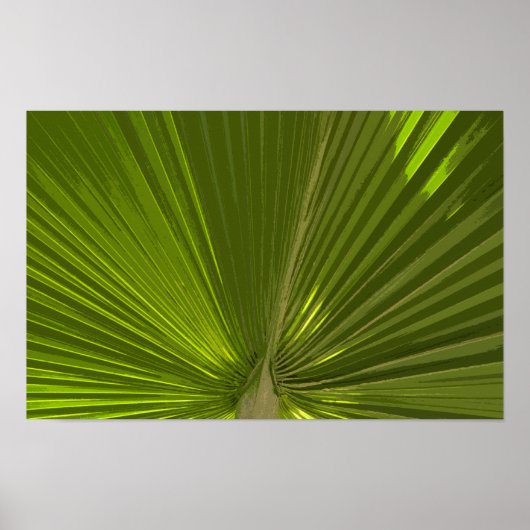 Groene Tropische Palmboom Blad Poster (Voorkant)