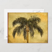 Groene tropische palmboom Hawaïaanse  palmen Briefkaart (Voorkant / Achterkant)