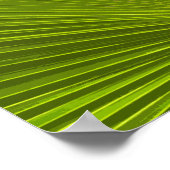 Groene tropische palmboom rond poster (Hoek)