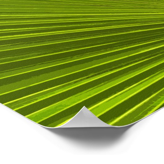 Groene tropische palmboom rond poster (Hoek)