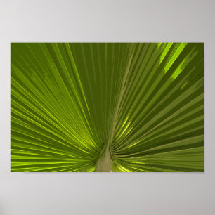 Groene tropische palmboom rond poster