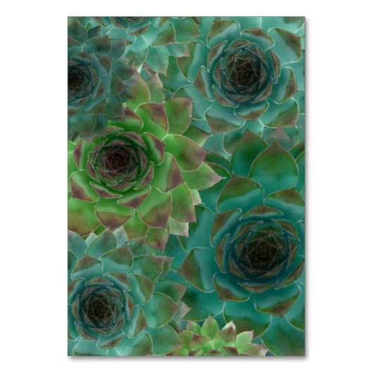 Groene Trouwsucculenten Tented Place Cards Kaart (Achterkant)