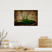 Groene tuin poster (Keuken)