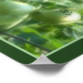 Groene Tuin Tomaten Natuur Abstract Poster (Hoek)