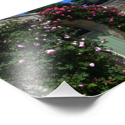 Groene tuindeur met bank foto afdruk (Hoek)