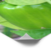 Groene tuinpers op wijn poster (Hoek)