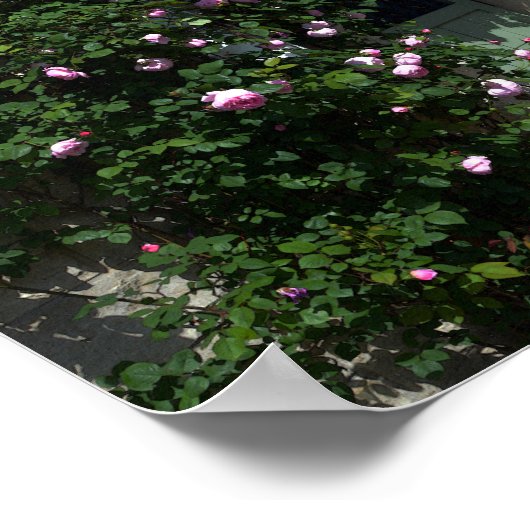 Groene tuinpoort met bank poster (Hoek)