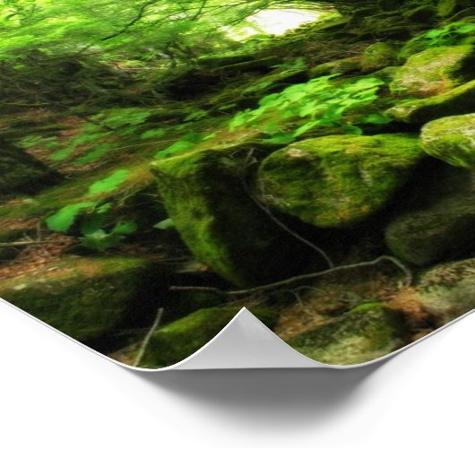 Groene tunnel poster (Hoek)