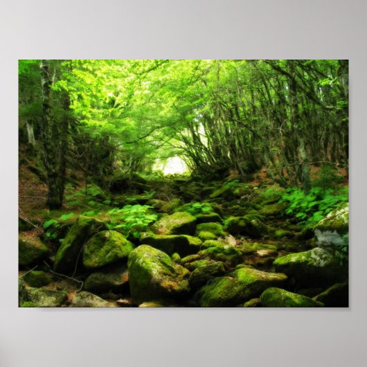 Groene tunnel poster (Voorkant)