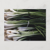 Groene uien briefkaart (Voorkant)