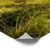 Groene vallei poster (Hoek)