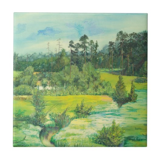 groene vallei tegeltje (Voorkant)