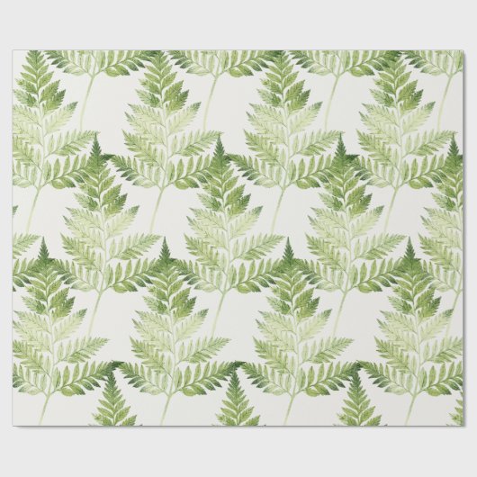 Groene varen botanische illustratie cadeaupapier (Vlak)