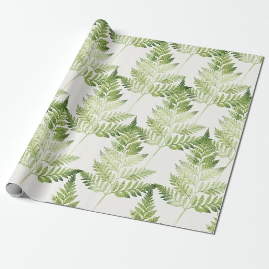 Groene varen botanische illustratie cadeaupapier (Uitgerold)