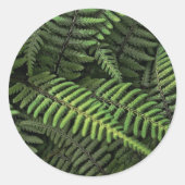 Groene varenbladeren ronde sticker (Voorkant)