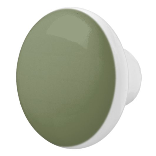 Groene, vaste kleur keramische knop (Rechts)