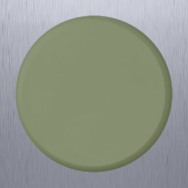 Groene, vaste kleur magneet