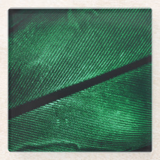 Groene veer, mooie patroontextuur. glazen onderzetter