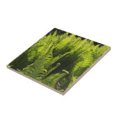 "Groene veerboten en krullende schijfjes" Tegeltje (Zijkant)