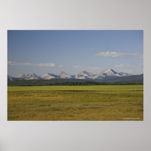 Groene velden en heuvels met bergen poster