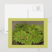 Groene ventilatorkracht briefkaart (Voorkant / Achterkant)