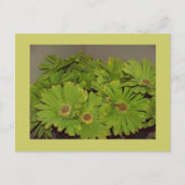 Groene ventilatorkracht briefkaart (Voorkant)