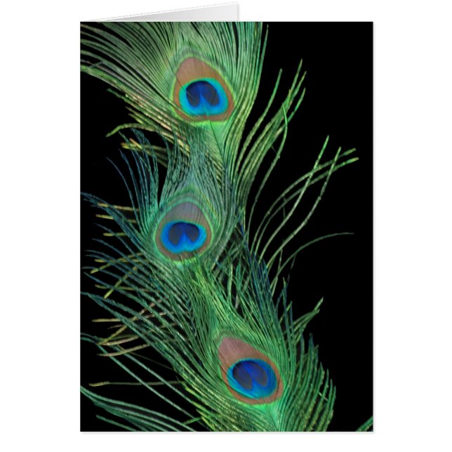 Groene veren met zwart (Voorkant)
