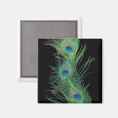 Groene veren met zwart magneet (Voorkant / Achterkant)