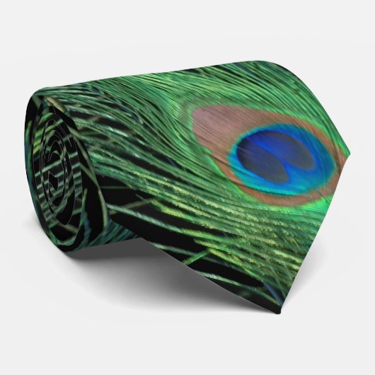 Groene veren met zwarte Stropdas (Opgerold)