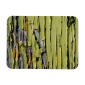 Groene verf pellen op weed Barn Wood Magneet (Horizontaal)