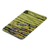 Groene verf pellen op weed Barn Wood Magneet (Linkerzijde)