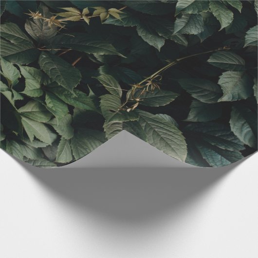 GROENE VERLAAGD PLANT CADEAUPAPIER (Hoek)