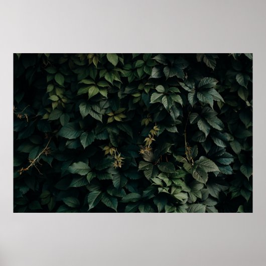 GROENE VERLAAGD PLANT POSTER (Voorkant)