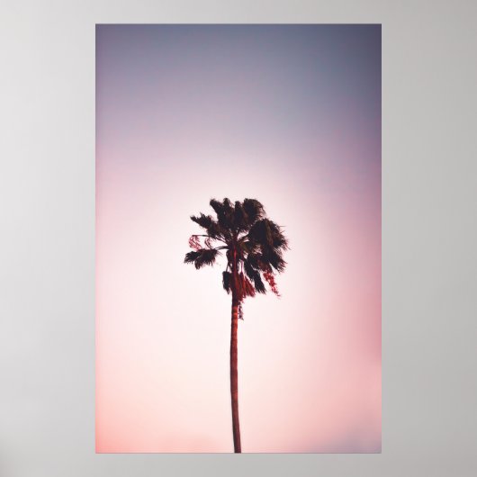 GROENE VERLAAGDE BOOM ONDER BLUE SKY POSTER (Voorkant)