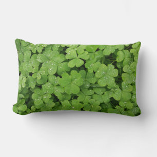 Groene verse klaver, geluksbrengende St. Patrick k Kussen