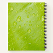  groene verse regendruppels Journal Notitieboek (Achterkant)